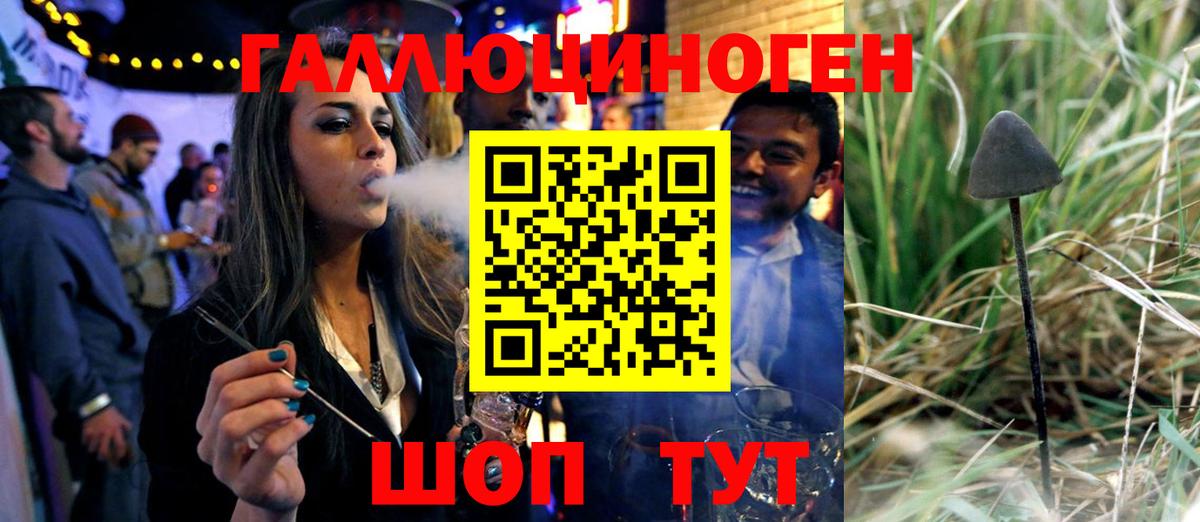 Галлюциногенные грибы Psilocybe Ялта