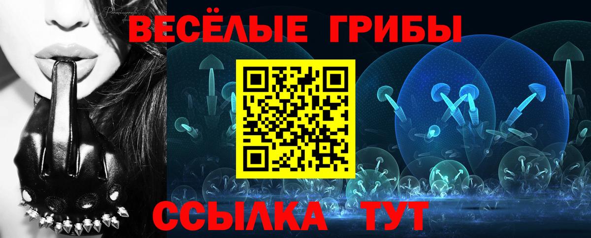 Ялта  Галлюциногенные грибы Psilocybine cubensis  Вход с VPN  Псилоцибиновые грибы Psilocybine cubensis 